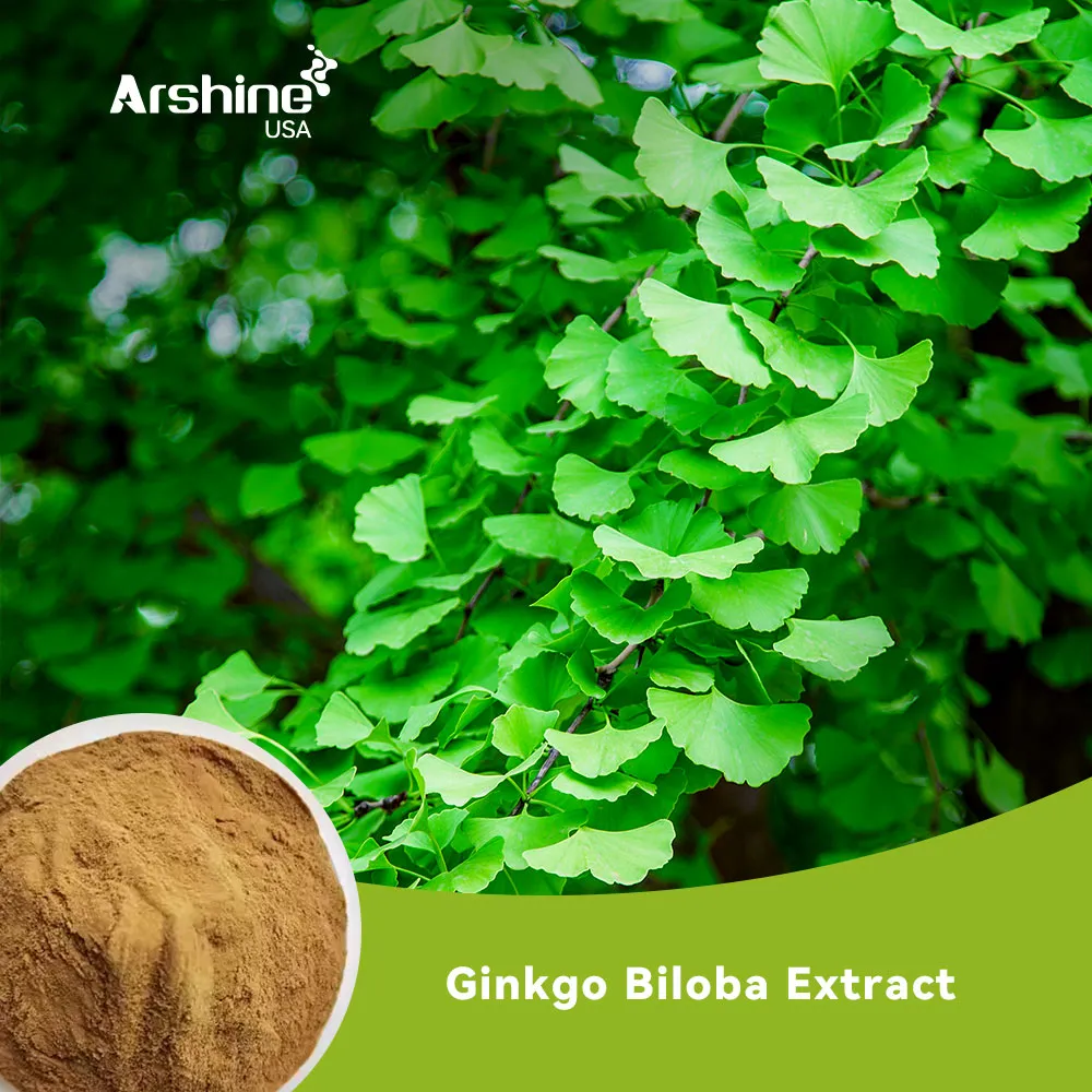 Ginkgo Biloba Extract